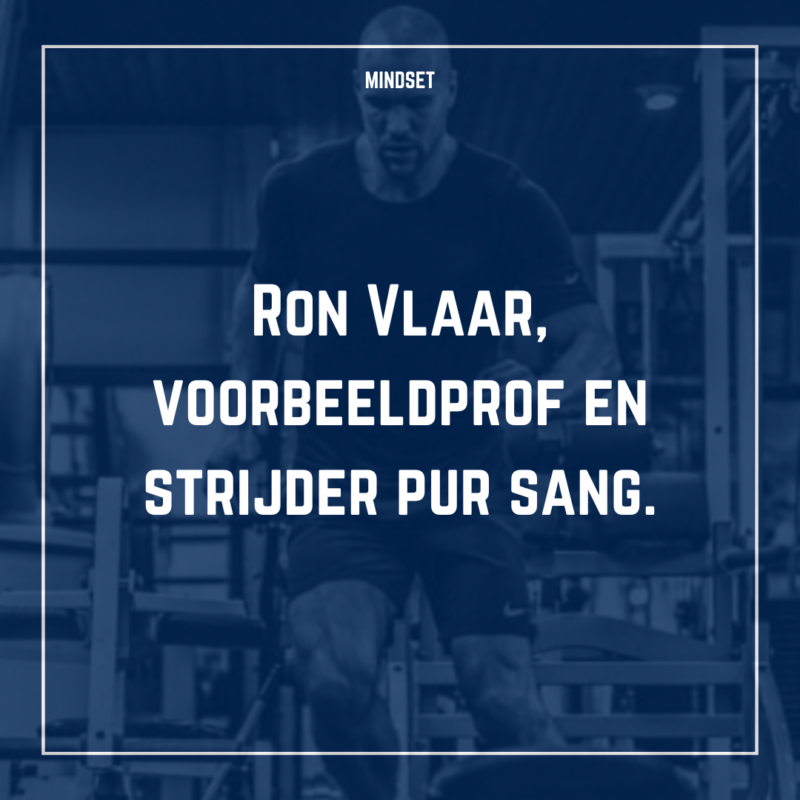 Ron Vlaar, voorbeeldprof en strijder pur sang